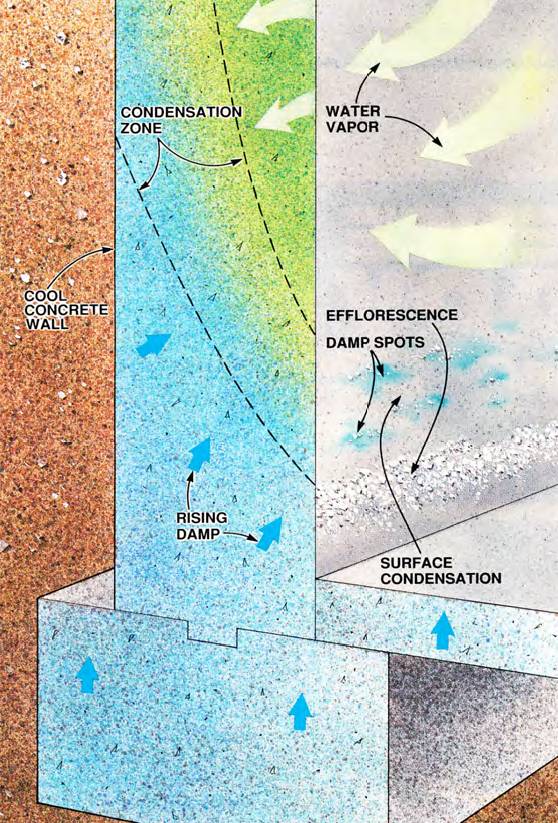 This diagram shows how water vapor in the air becomes moisture on the walls