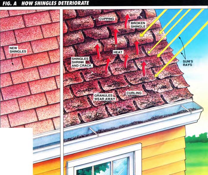 shingles roof worn down heat worst break ventilation rays uv sun bestlife52 asphalt lose cup flashings failing enemies poor beat