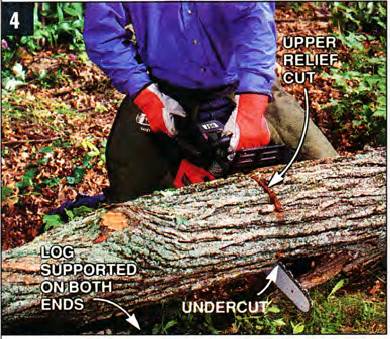 after the tree falls and the log is supported on both ends, make an upper relief cut one-quarter of the way, and then finish your cut by undercutting upwards
