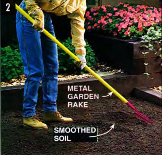 Use a metal rake to smooth the tilled soil