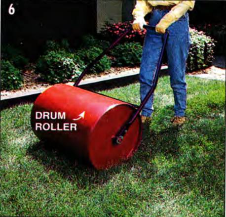 Roll the new sod with a drum roller on the same day it's been laid