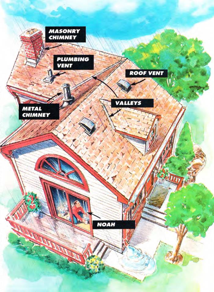 Roof problems usually begin on valleys, roof vents, plumbing vents, or masonry and metal chimneys